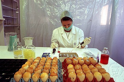 Bioloska_proizvodnja_01.jpg